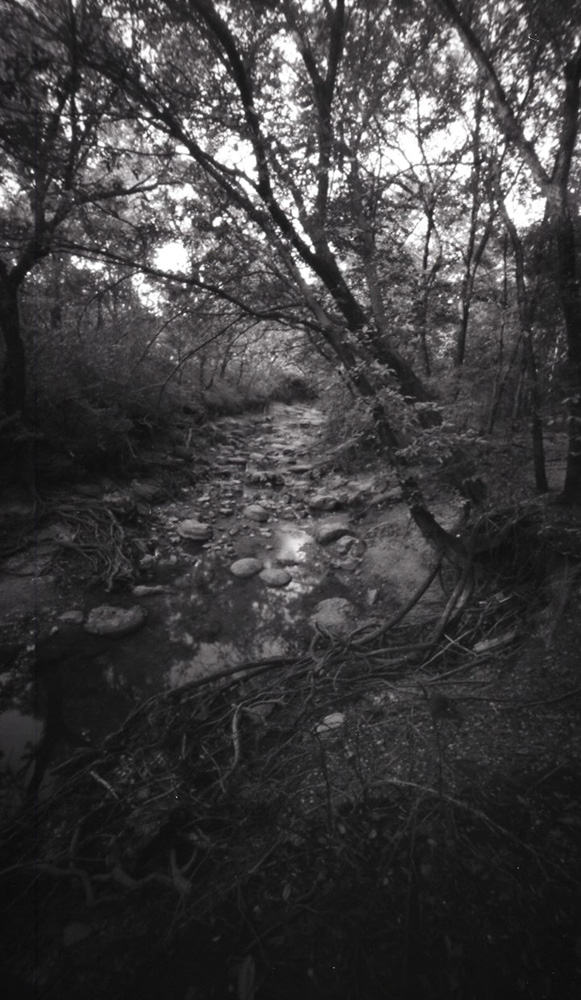 Arbor Hills Creek