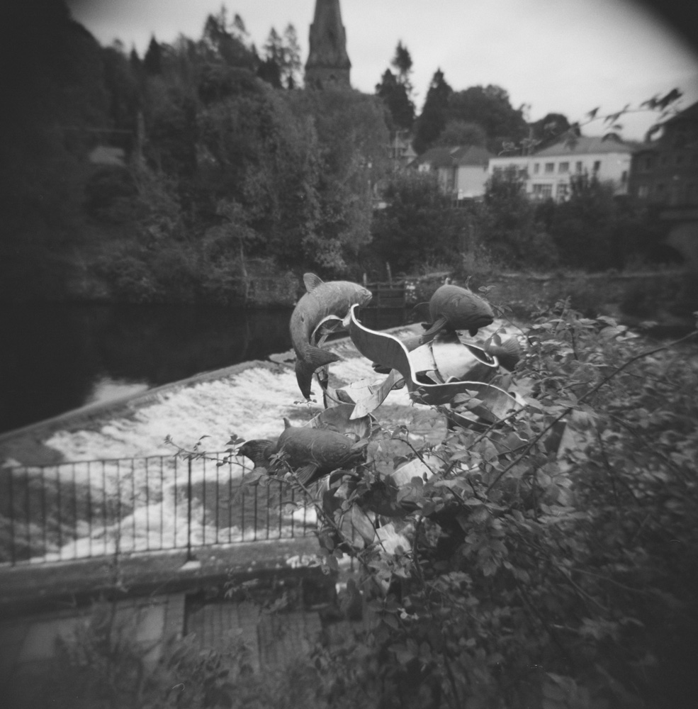 Salmon Sculture beside River Ericht