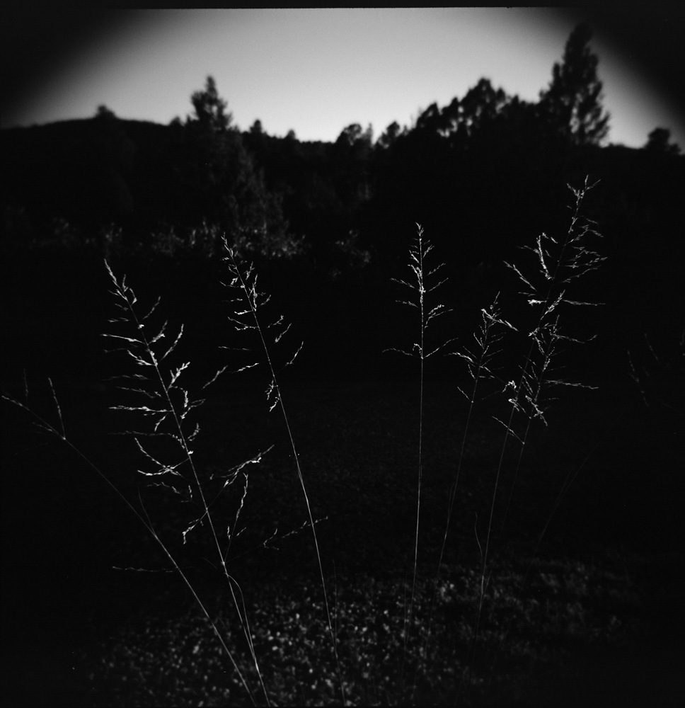 Contentment | Praise the Sun