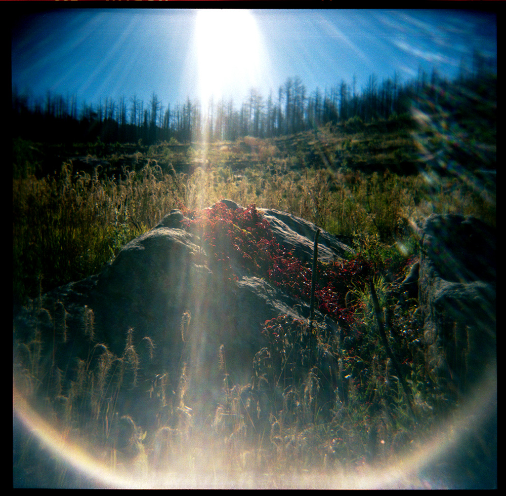 Fall in the Burn Scar #1