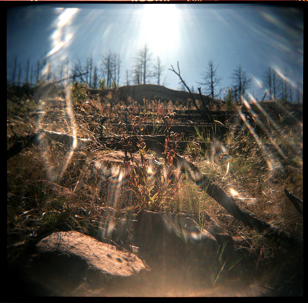 Fall in the Burn Scar #2