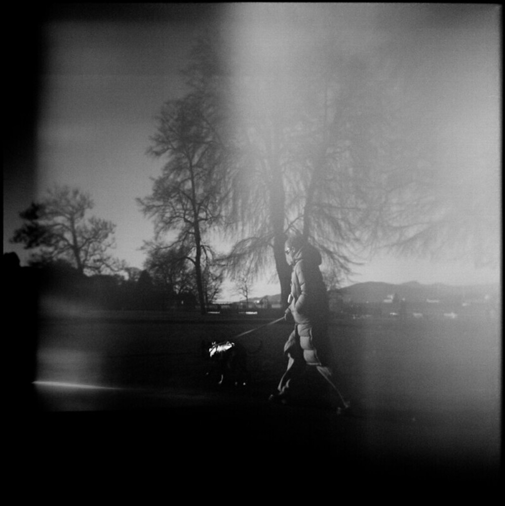 A Man Walking His Dog