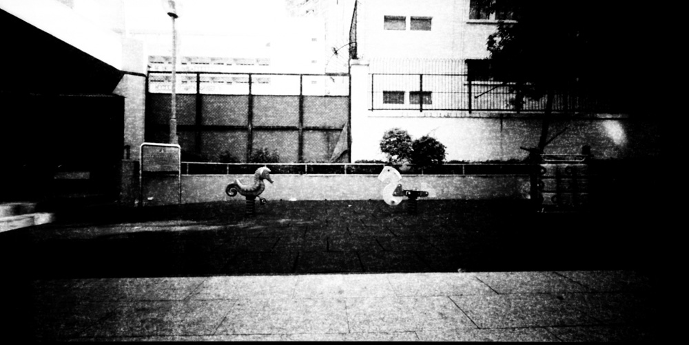 Two big bird sitting on the playground