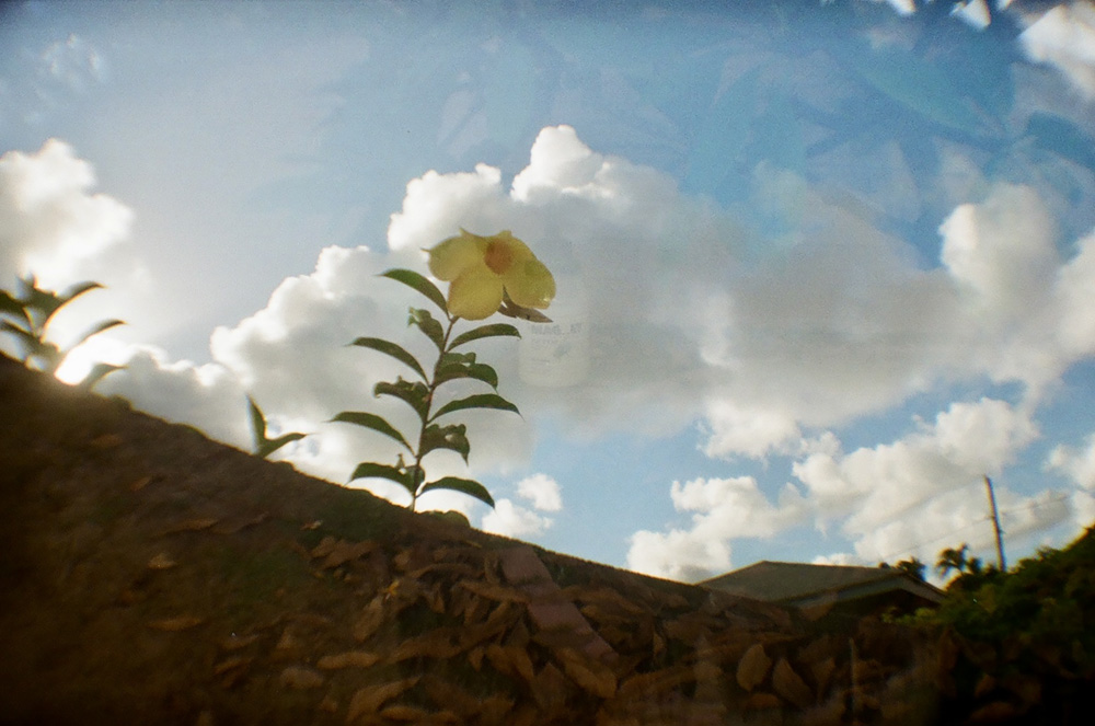 Eyes wide open catching flies