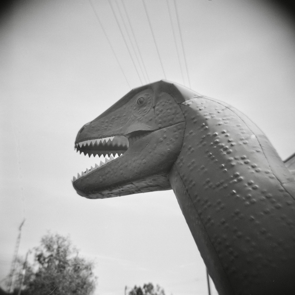 "When Dinosaurs Ruled the Earth"