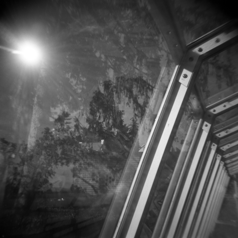 Reflections in Greenhouse Glass