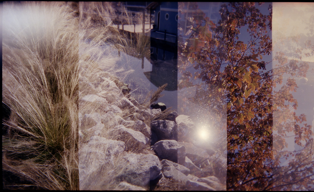 Holga Week Walk: Part I