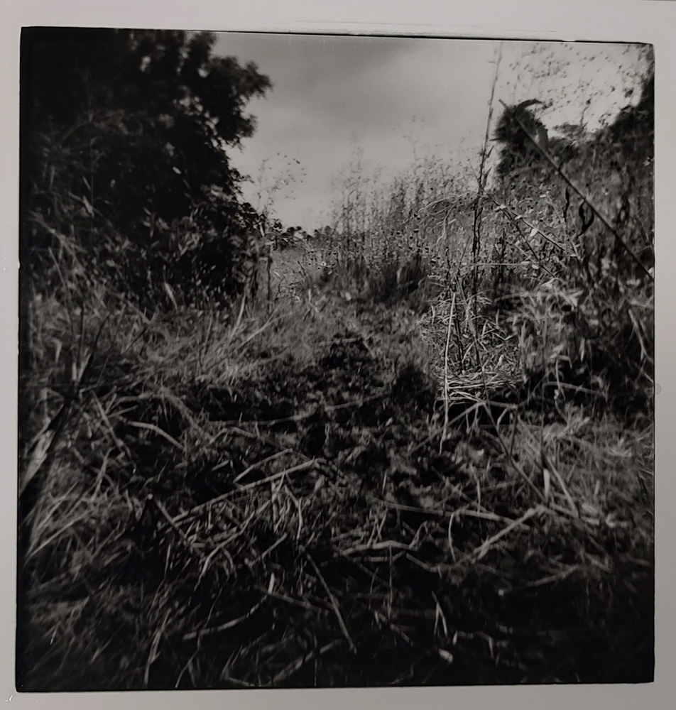 It's Not as Muddy in Front of You