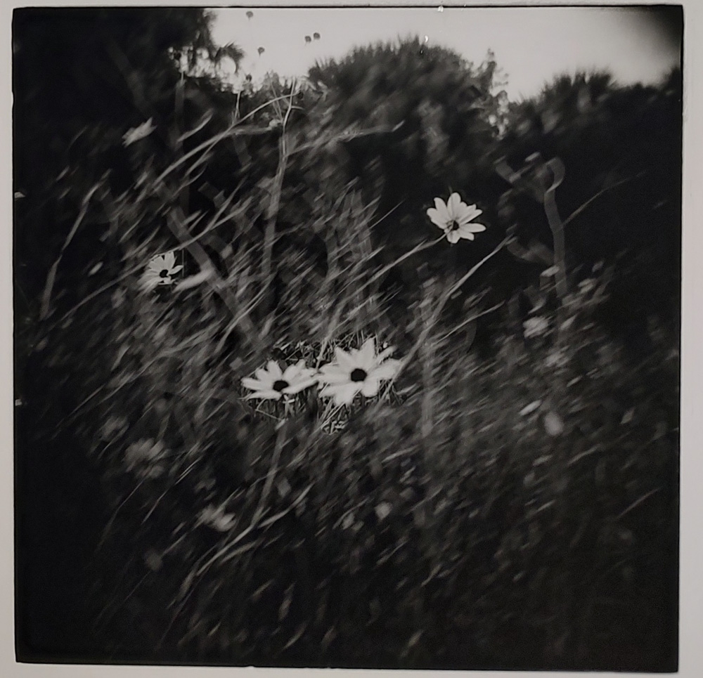 Let's Focus on the Good Parts