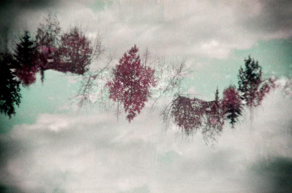 Aspens Holga Style