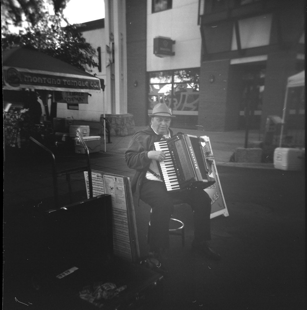 Accordion Player