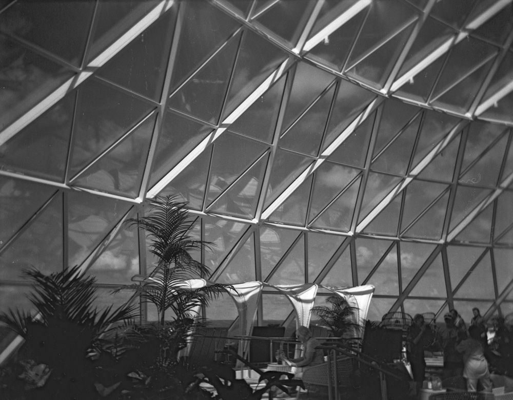 Solarium on Star of the Seas Cruise Ship